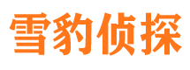 永红外遇出轨调查取证